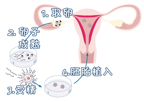 代生包男宝